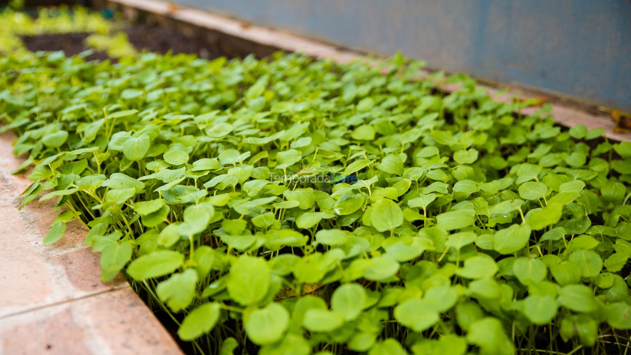 Ranch for vacation rental in Seropédica (Campo Lindo)
