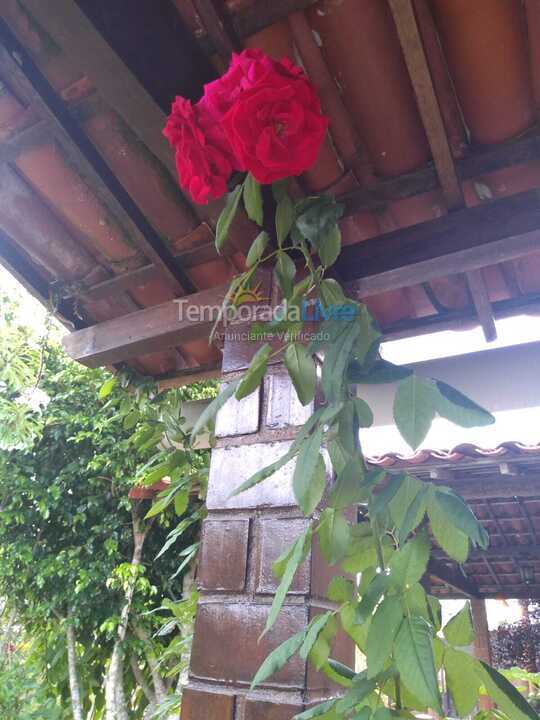 Casa para aluguel de temporada em Gravatá (Gravatá)