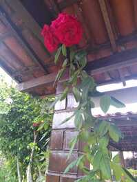 Chalé Aconchegante na Serra de Gravatá-PE