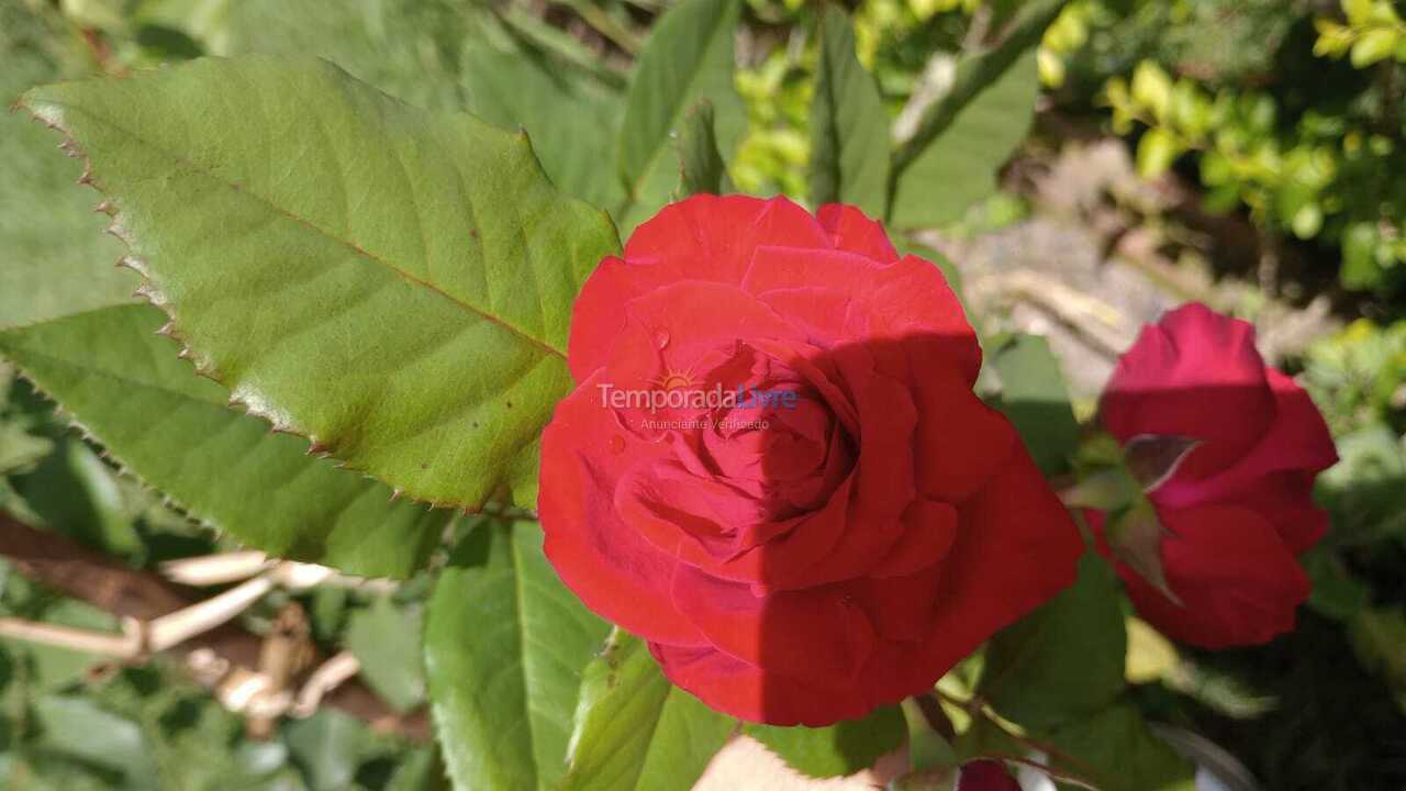 Casa para aluguel de temporada em Gravatá (Gravatá)