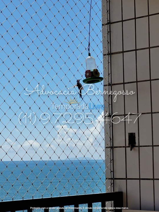 Apartamento para aluguel de temporada em Caraguatatuba (Martim de Sá)