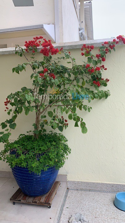 Casa para aluguel de temporada em São Sebastião (Juquehy)