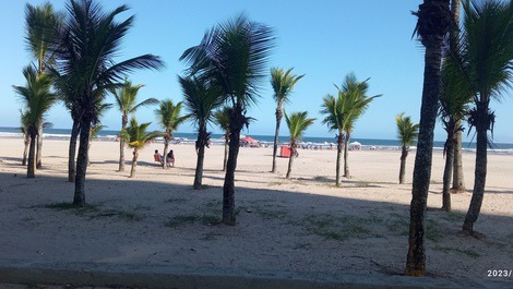 Deus quis assim 🏖️ 🌻❣️