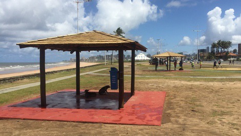 Fazer piquenique na praia 