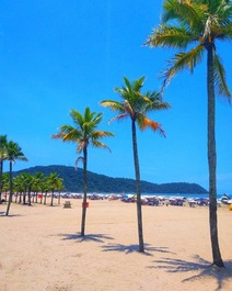 Accommodation with comfort and leisure in Canto do Forte