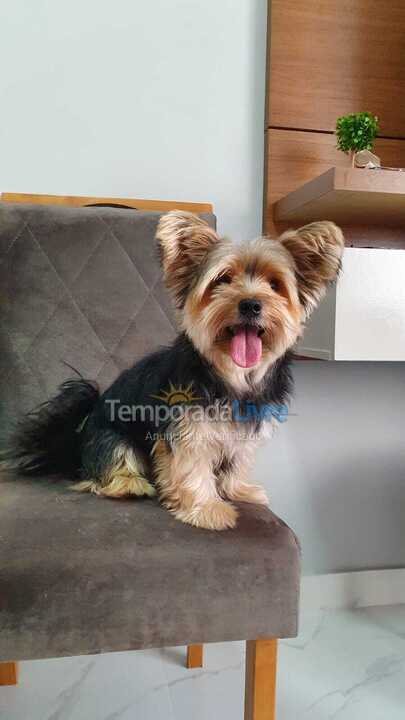 Apartment for vacation rental in Praia Grande (Canto do Forte)