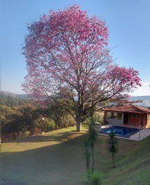 Churrasqueira e piscina 