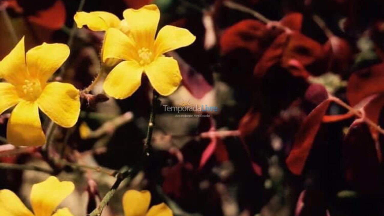 Casa para alquiler de vacaciones em Macaé (Sana)