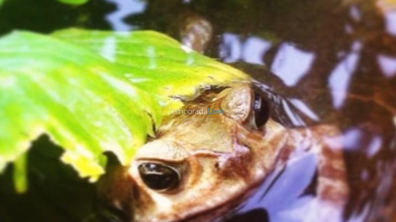 Casa para alquiler de vacaciones em Macaé (Sana)