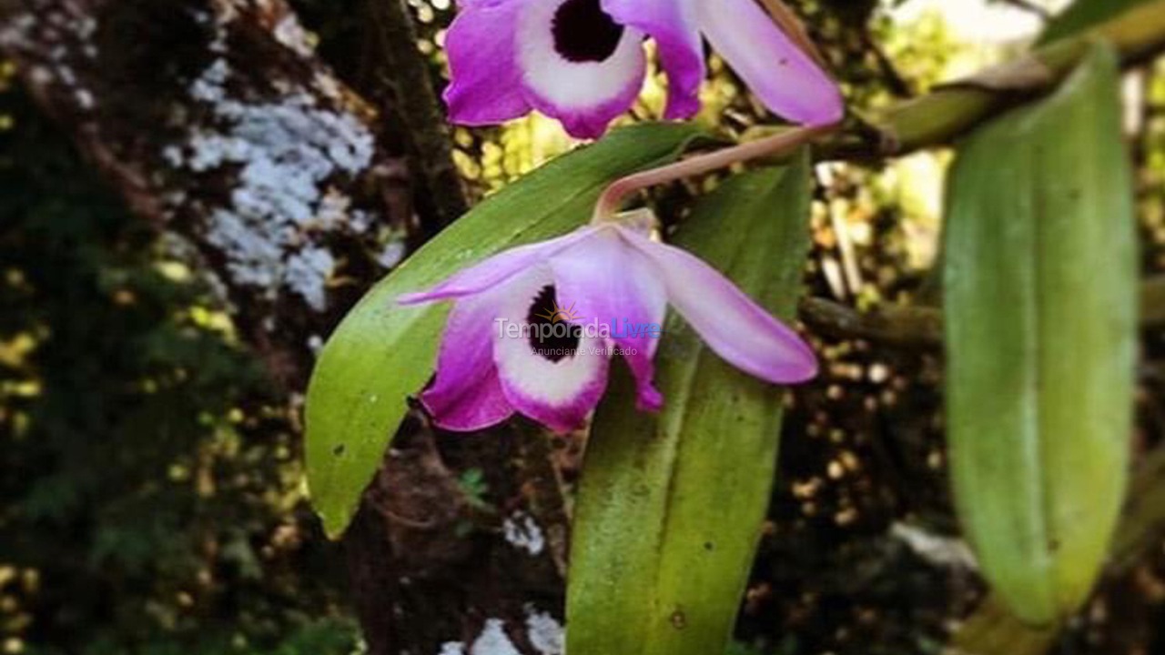 Casa para alquiler de vacaciones em Macaé (Sana)