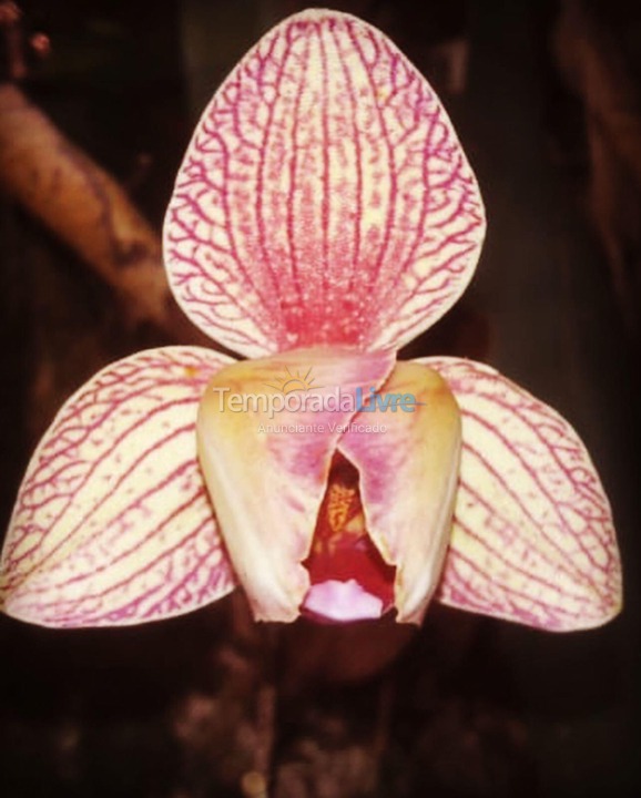 Casa para alquiler de vacaciones em Macaé (Sana)