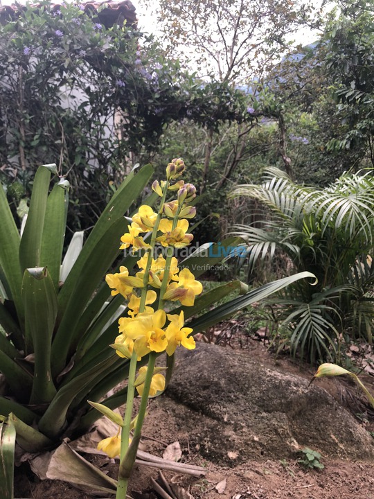 Casa para alquiler de vacaciones em Macaé (Sana)
