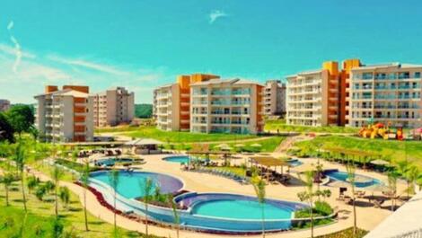 Alquiler de apartamentos tipo loft