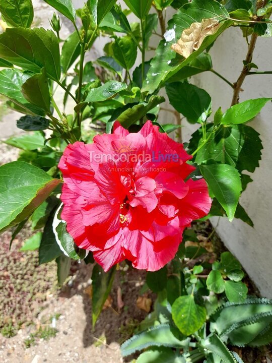 Apartamento para alquiler de vacaciones em Jaboatão dos Guararapes (Barra de Jangada)