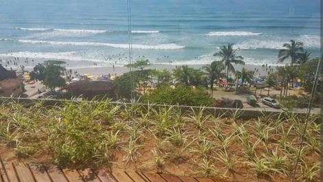 Vista da parte superior 