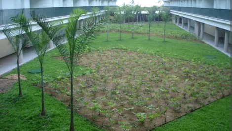 Jardim ecológico
