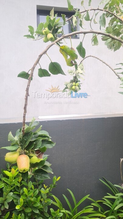 Casa para aluguel de temporada em Paranapanema (Riviera de Santa Cristina Xiii)