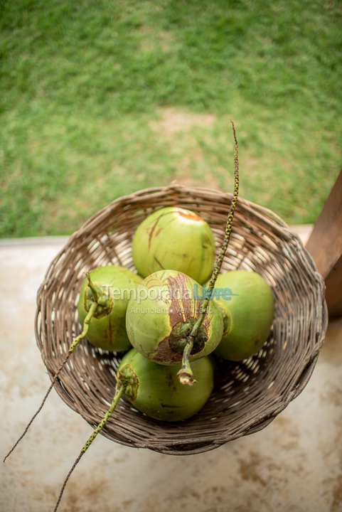 House for vacation rental in Ipojuca (Praia de Serrambi)
