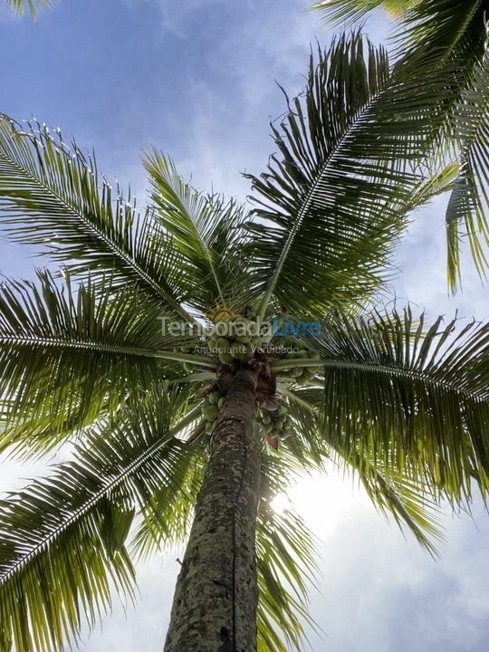 House for vacation rental in Ipojuca (Praia de Serrambi)