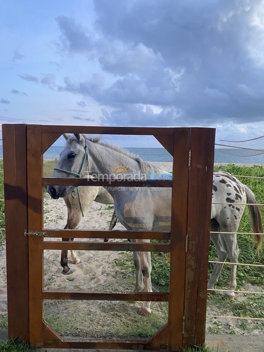 House for vacation rental in Ipojuca (Praia de Serrambi)