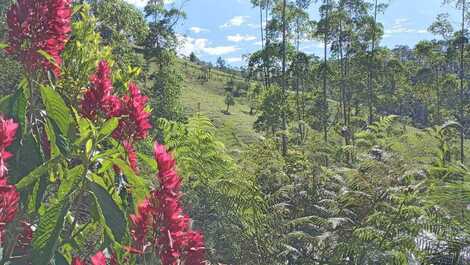 Chalés (Linda vista da Pedra Selada!)