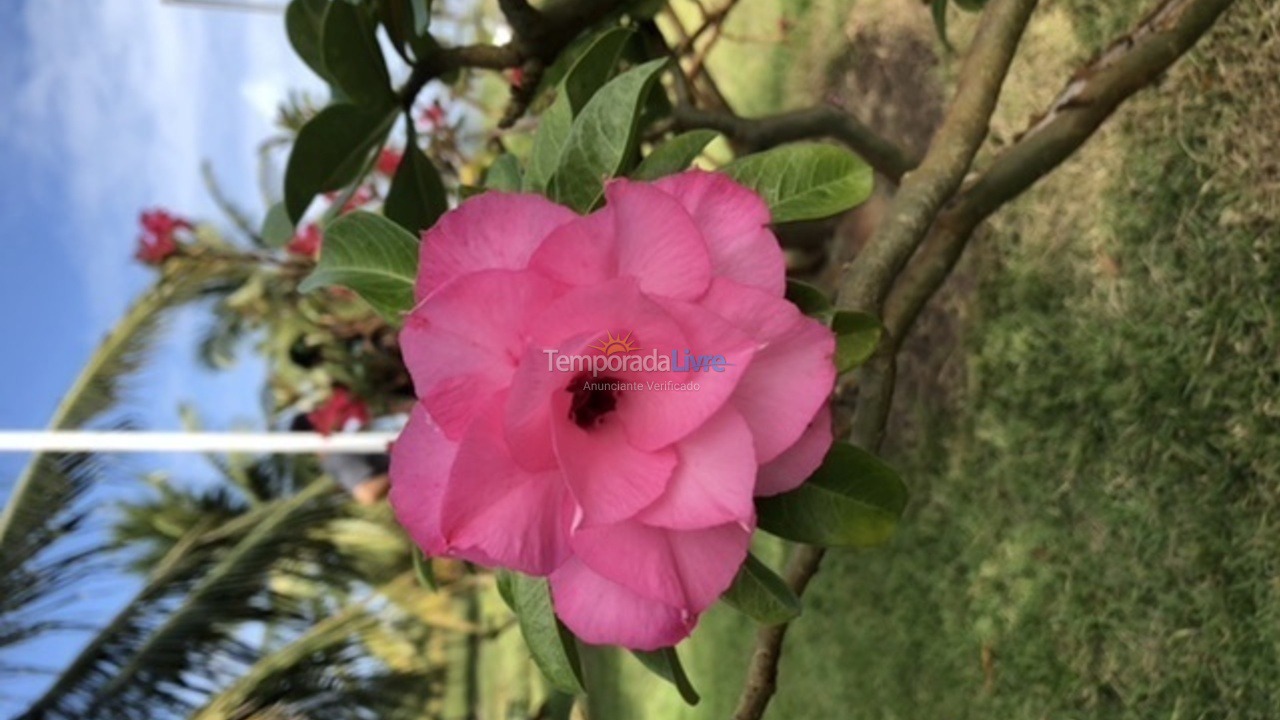 Casa para aluguel de temporada em Barra dos Coqueiros (Praia da Costa)