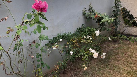 CHÁCARA MORAES - LOCAL SOSSEGADO E A POUCOS METROS DA CIDADE