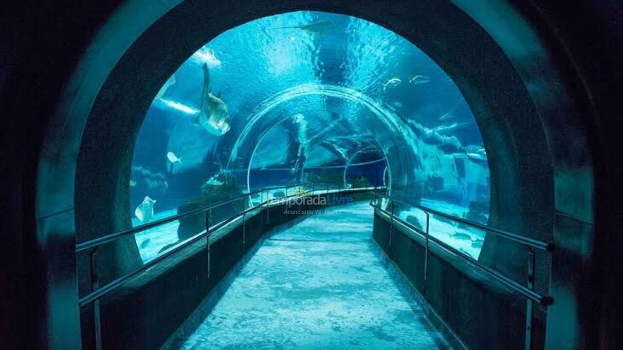 Casa para aluguel de temporada em Praia Grande (Vila Mirim)