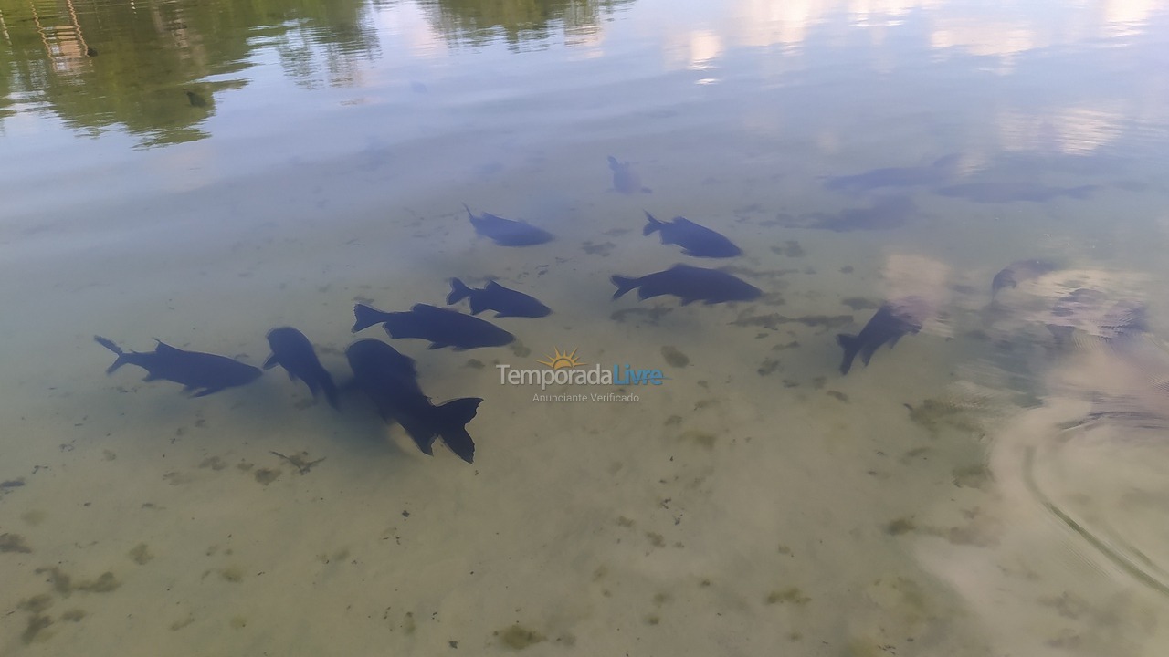 Casa para aluguel de temporada em Estância (Entre Praia do Abais E Praia do Saco)