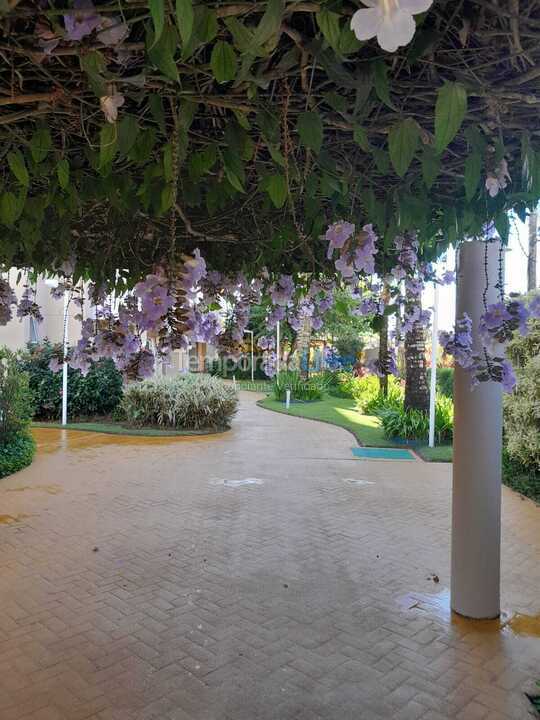 Apartamento para aluguel de temporada em Bertioga (Riviera de São Lourenço)