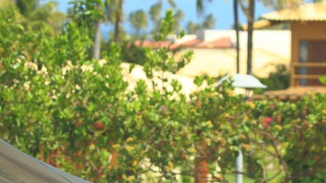 IMBASSAI RESERVE - APARTMENT TD 11 102 BUGANVILIAS