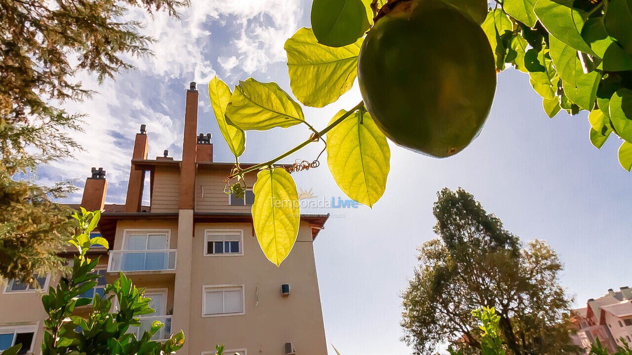Apartamento para aluguel de temporada em Canela (Centro)