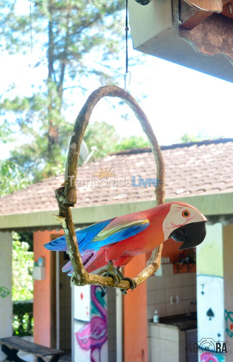 Chácara / sítio para aluguel de temporada em Mairiporã (Mairiporã)