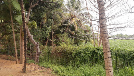 Apartamento Laguna Park