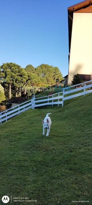 Apartamento para aluguel de temporada em Campos do Jordão (Alto da Boa Vista)