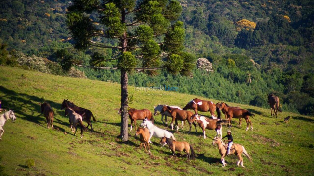 Apartamento para aluguel de temporada em Campina Grande do Sul (Centro)