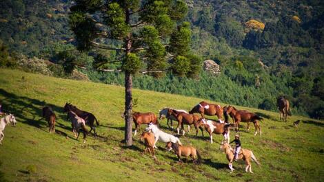 Apartamento completo