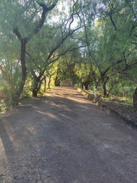 Beautiful ranch on the banks of the battle river