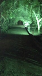 Beautiful ranch on the banks of the battle river