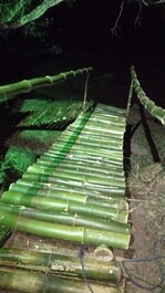 Beautiful ranch on the banks of the battle river