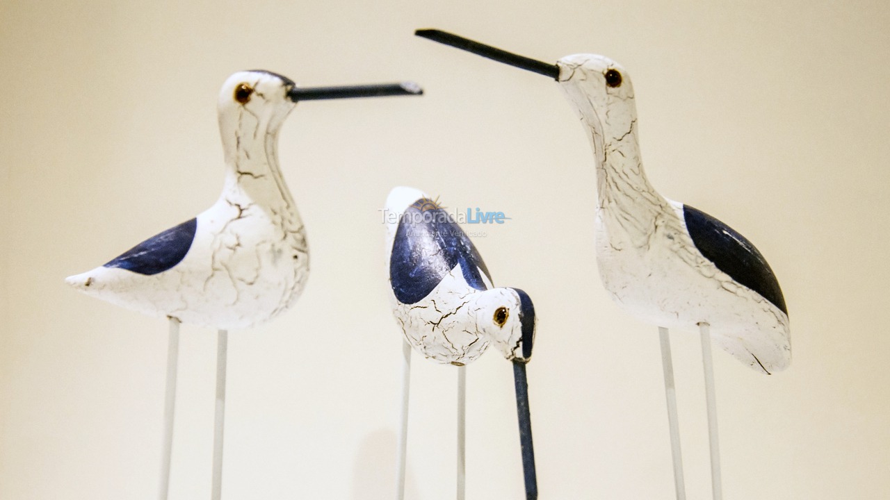 Apartamento para aluguel de temporada em Ubatuba (Itaguá)