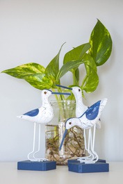 Sala de estar/jantar