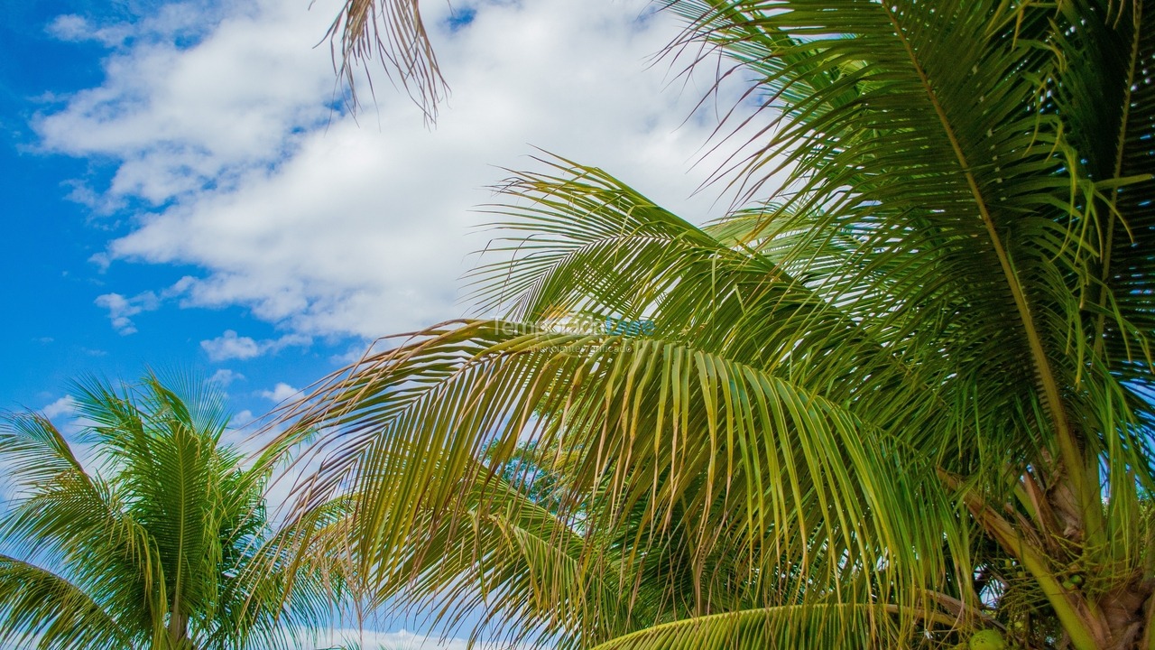 House for vacation rental in Olímpia (Thermas Dos Laranjais)