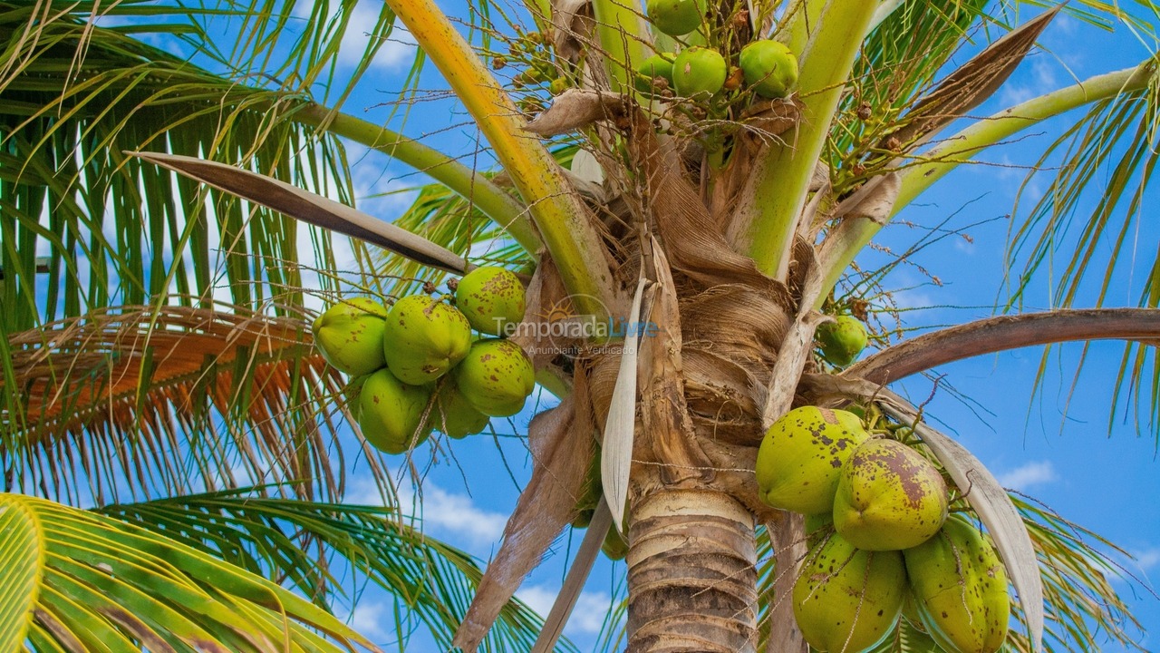 House for vacation rental in Olímpia (Thermas Dos Laranjais)