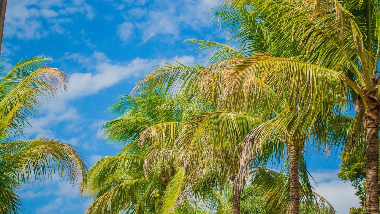 House for vacation rental in Olímpia (Thermas Dos Laranjais)