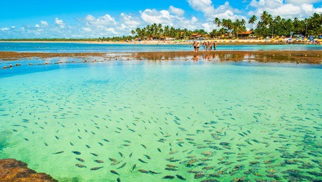 Muro Alto, Porto de Galinhas