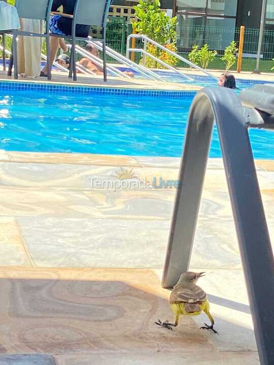 Apartamento para aluguel de temporada em Ipojuca (Praia de Muro Alto)