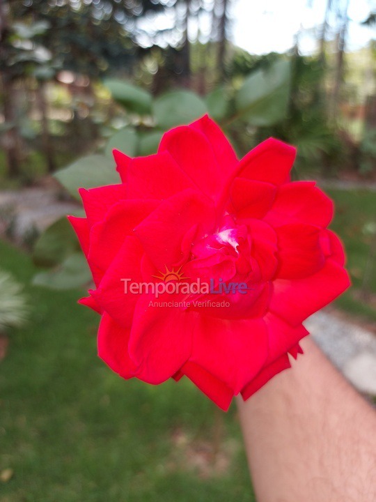 Casa para alquiler de vacaciones em Arraial D'ajuda (Arraial dajuda)