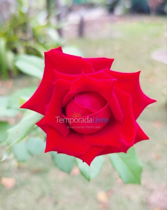 Casa para alquiler de vacaciones em Arraial D'ajuda (Arraial dajuda)
