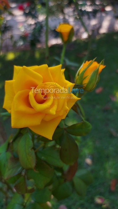 Casa para alquiler de vacaciones em Arraial D'ajuda (Arraial dajuda)